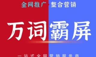 网站关键词优化软件 网站关键词优化软件