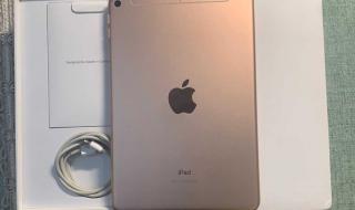 新ipadmini 新ipadmini